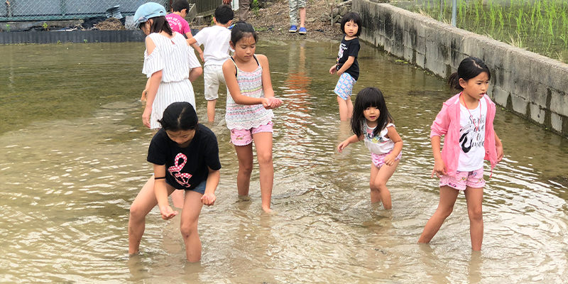 どろんこ運動会