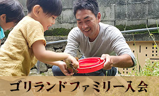 ゴリランドファミリー入会